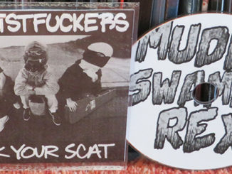 Anal Fistfuckers - Check yout Scat