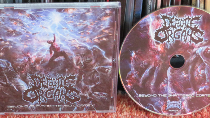 Defecate Organs ‎– Beyond The Shattered Cortex