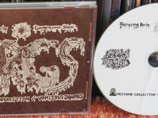 Festering Recto Gangrenous Slime ‎– Noisome Collection Of Vomitous Sounds