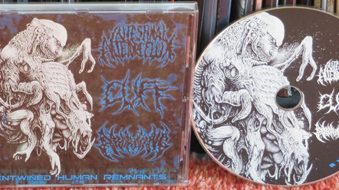 Intestinal Alien Reflux, Cuff, Aborning ‎– Entwined Human Remnants
