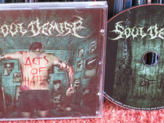 Soul Demise ‎– Acts Of Hate