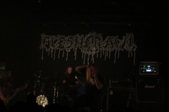 Fleshcrawl beim Heidelberg Deathfest 2019