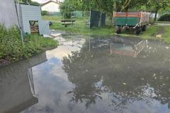 0-Regen-1
