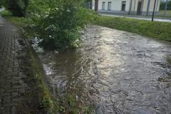 0-Regen-2