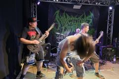 5.-Mike-Litoris-Complot-3