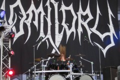 Vomitory