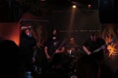 Necrotted