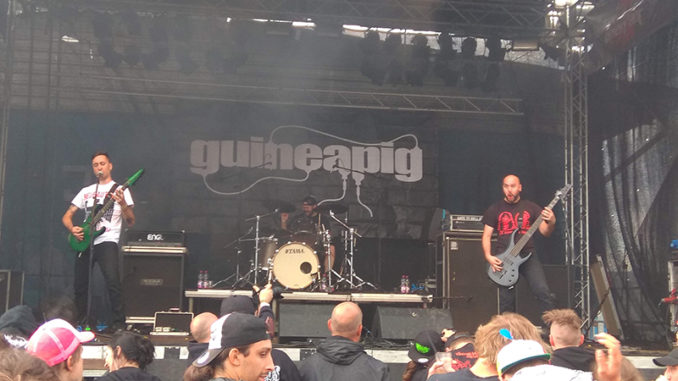 Guinepig beim DFOA 2018