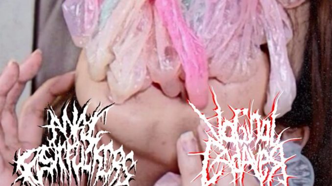 Anal Fistfuckers / Vaginal Cadaver - Alle Frauen in deiner Familie sind Nutten