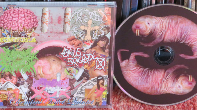 Cerebral Enema, Rektal Fetus, Anus Brigade, Defornicated, Shot In Tha Genitals