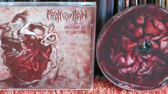 Pray for Pain - Anatomy of Extinction