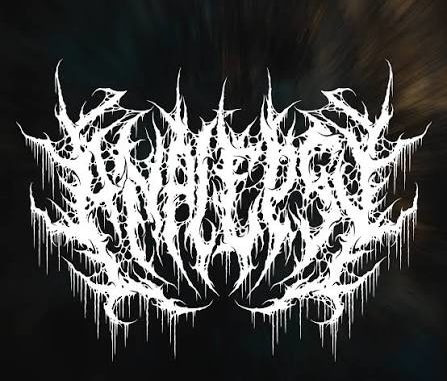 Analepsy Logo